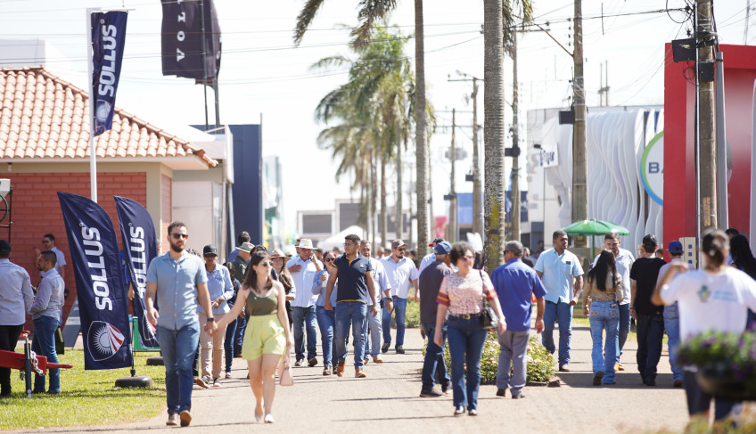 ASN Goiás - Agência Sebrae de Notícias