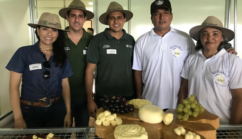 ASN Goiás - Agência Sebrae de Notícias