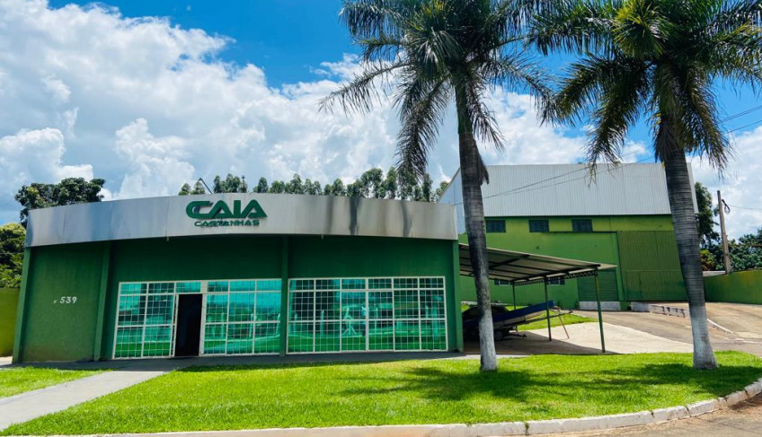 ASN Goiás - Agência Sebrae de Notícias