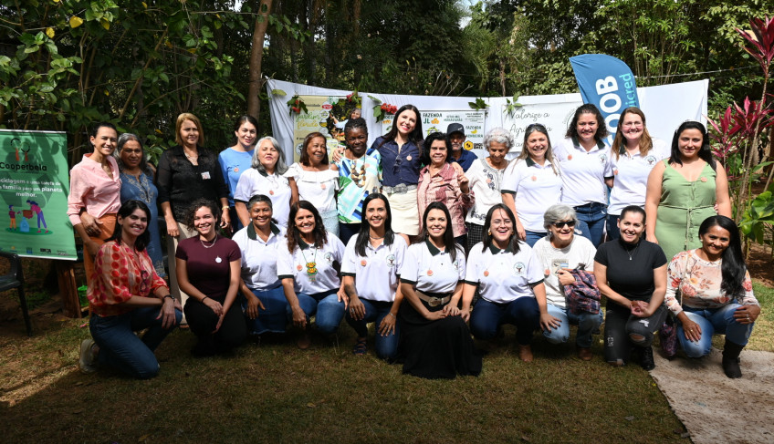 ASN Goiás - Agência Sebrae de Notícias