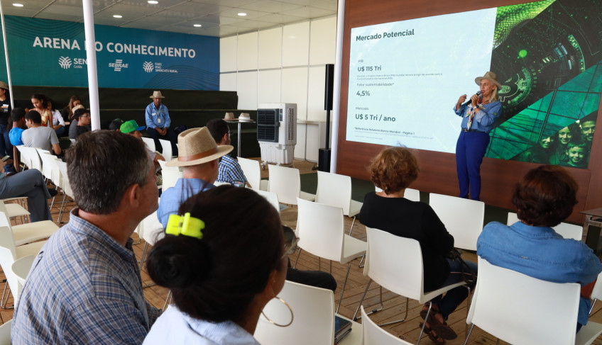 ASN Goiás - Agência Sebrae de Notícias