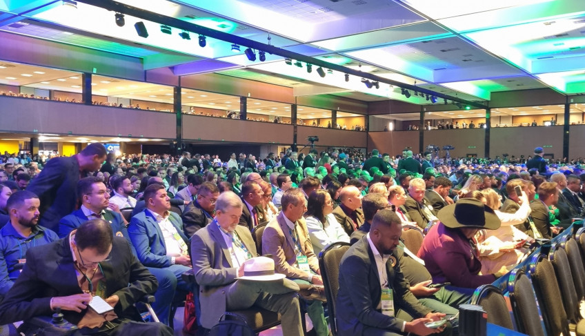 ASN Goiás - Agência Sebrae de Notícias