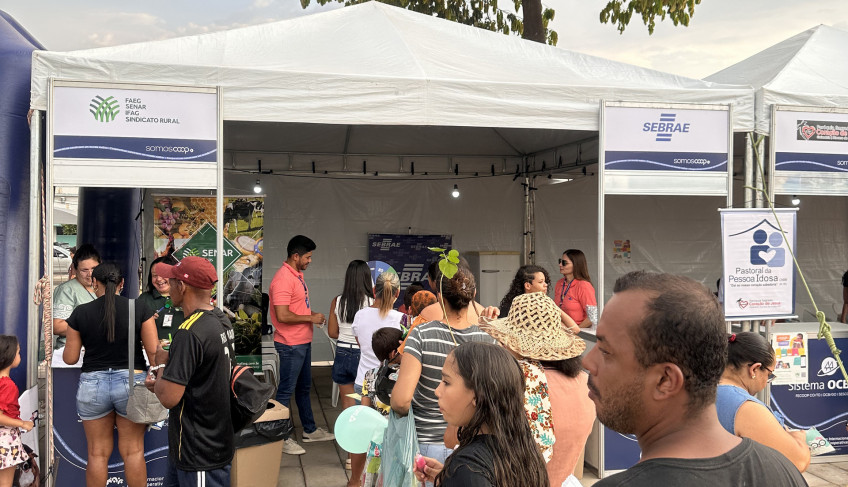 ASN Goiás - Agência Sebrae de Notícias