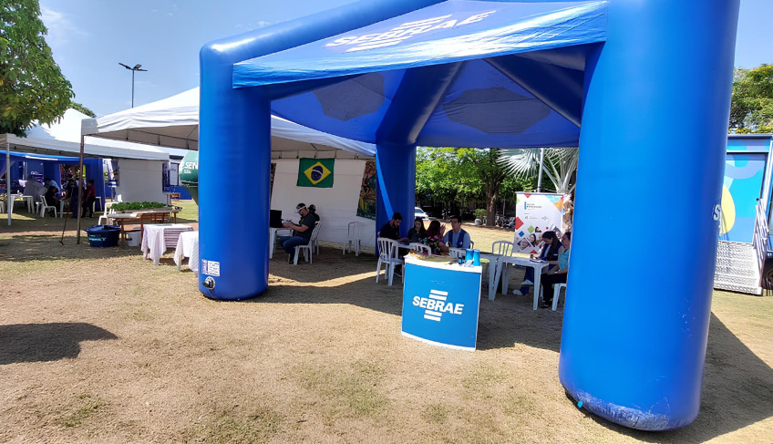 ASN Goiás - Agência Sebrae de Notícias