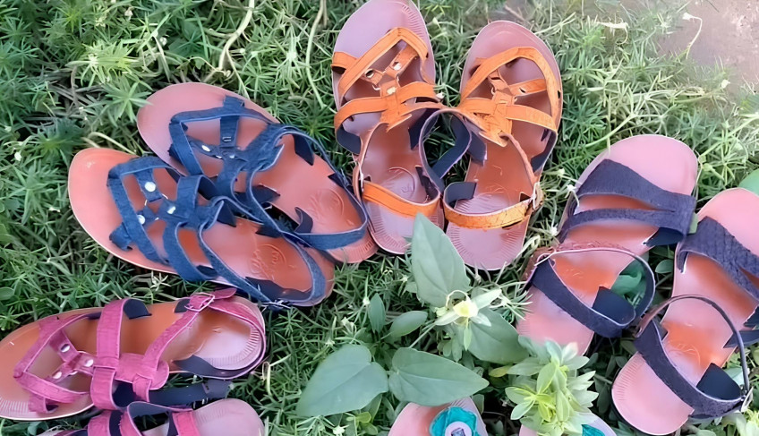 ASN Goiás - Agência Sebrae de Notícias