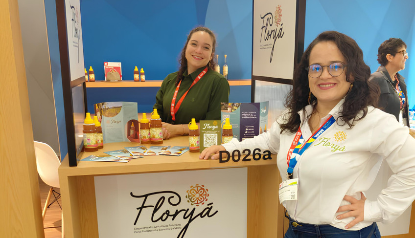 ASN Goiás - Agência Sebrae de Notícias