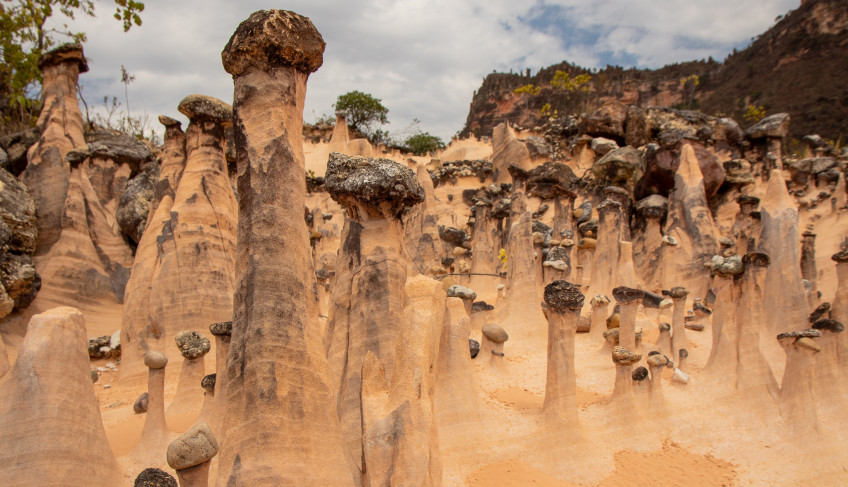 ASN Goiás - Agência Sebrae de Notícias