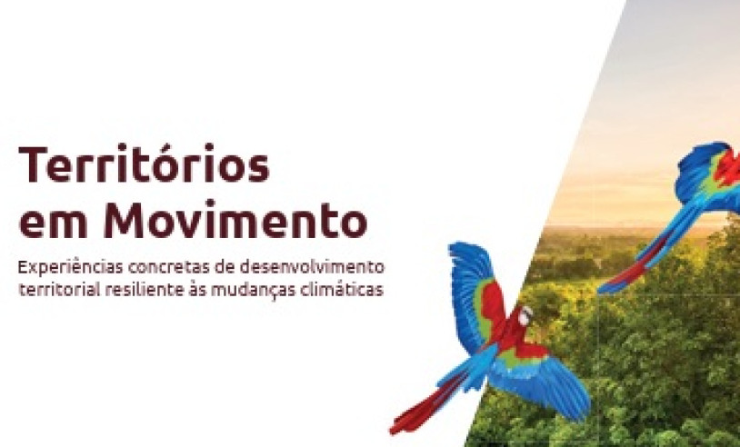 ASN Goiás - Agência Sebrae de Notícias