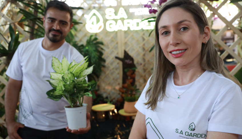 ASN Goiás - Agência Sebrae de Notícias