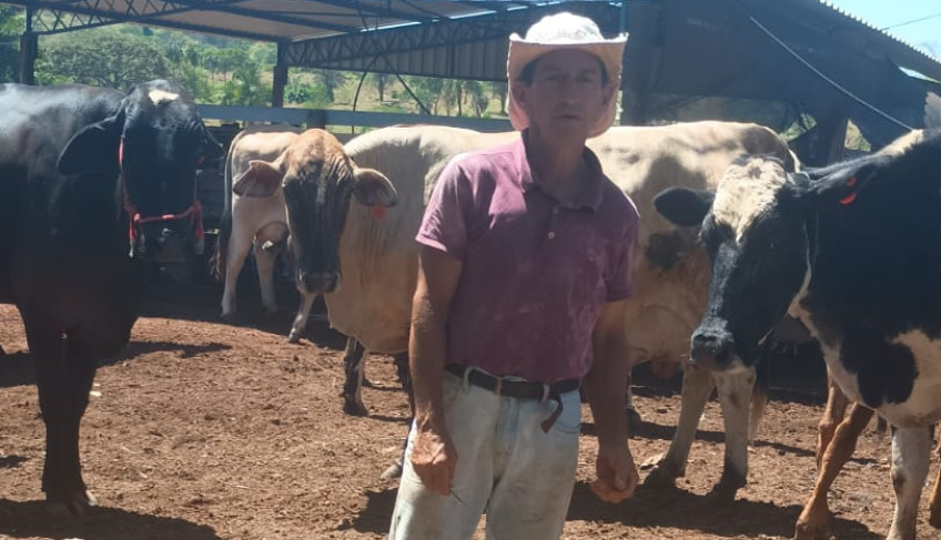 ASN Goiás - Agência Sebrae de Notícias