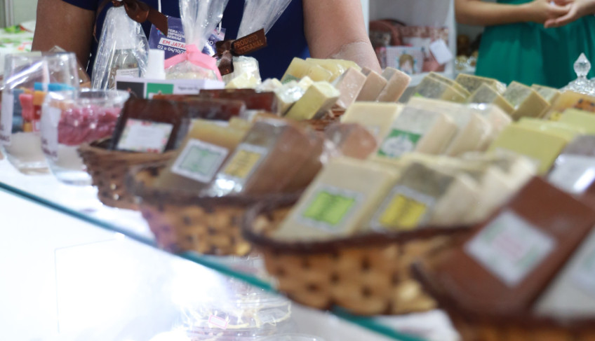 ASN Goiás - Agência Sebrae de Notícias