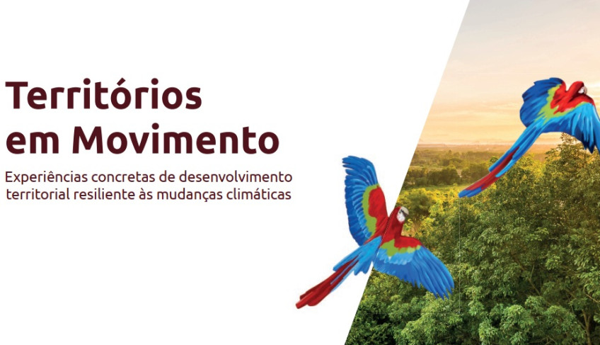 ASN Goiás - Agência Sebrae de Notícias