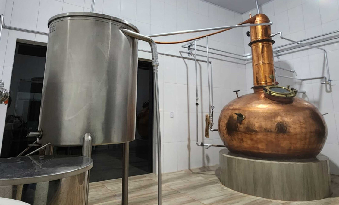 ASN Goiás - Agência Sebrae de Notícias