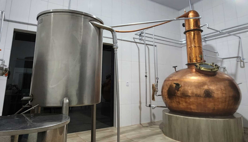 ASN Goiás - Agência Sebrae de Notícias