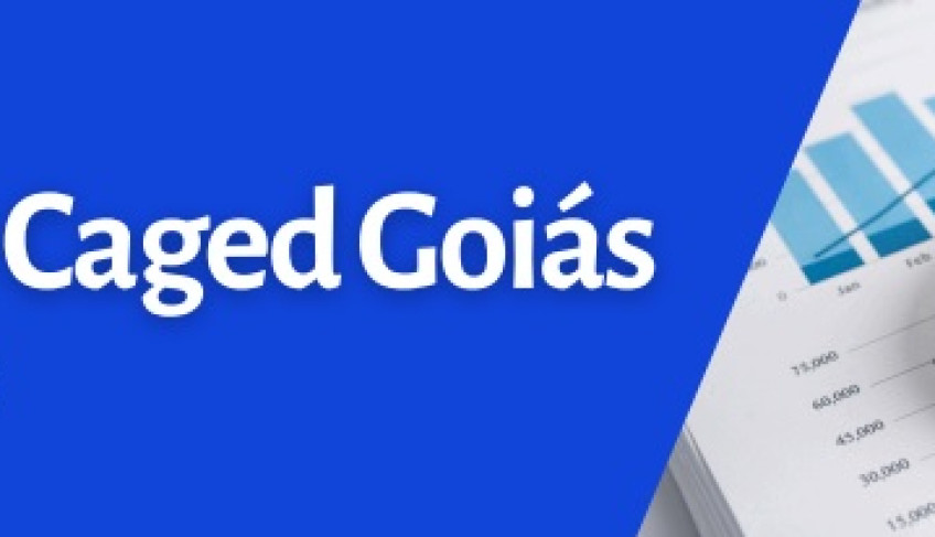 ASN Goiás - Agência Sebrae de Notícias