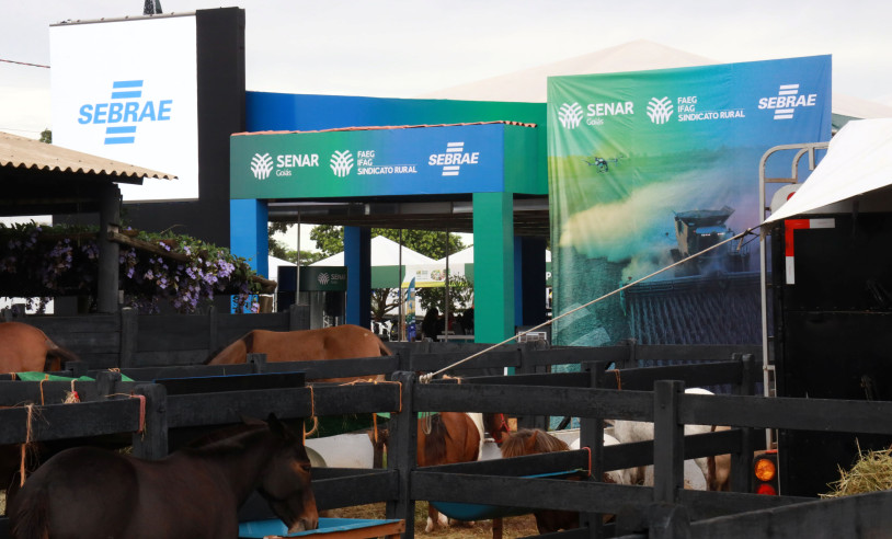 ASN Goiás - Agência Sebrae de Notícias