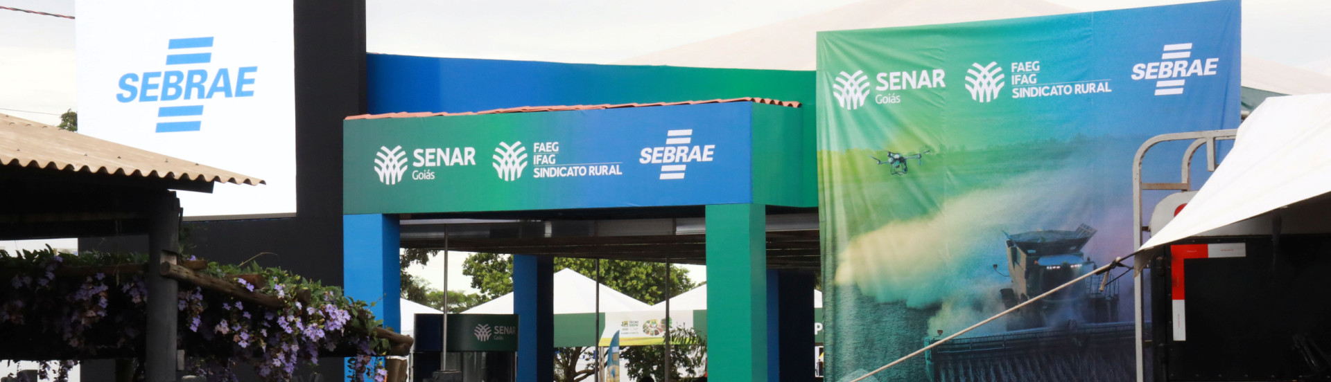 ASN Goiás - Agência Sebrae de Notícias