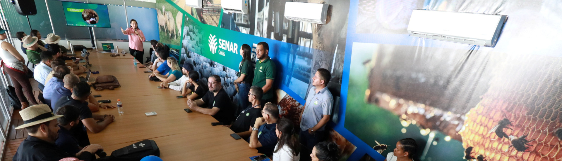 ASN Goiás - Agência Sebrae de Notícias