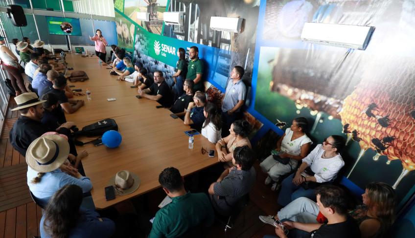 ASN Goiás - Agência Sebrae de Notícias