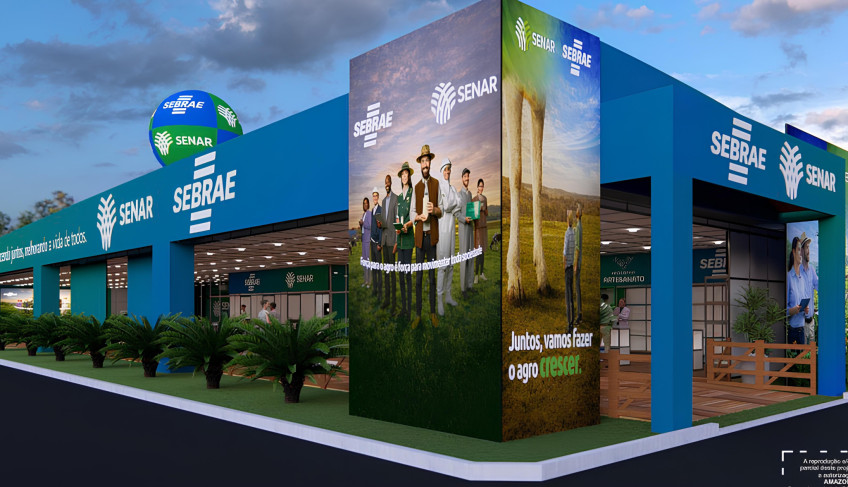 ASN Goiás - Agência Sebrae de Notícias