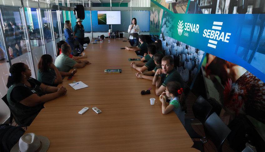 ASN Goiás - Agência Sebrae de Notícias