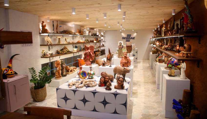 ASN Goiás - Agência Sebrae de Notícias