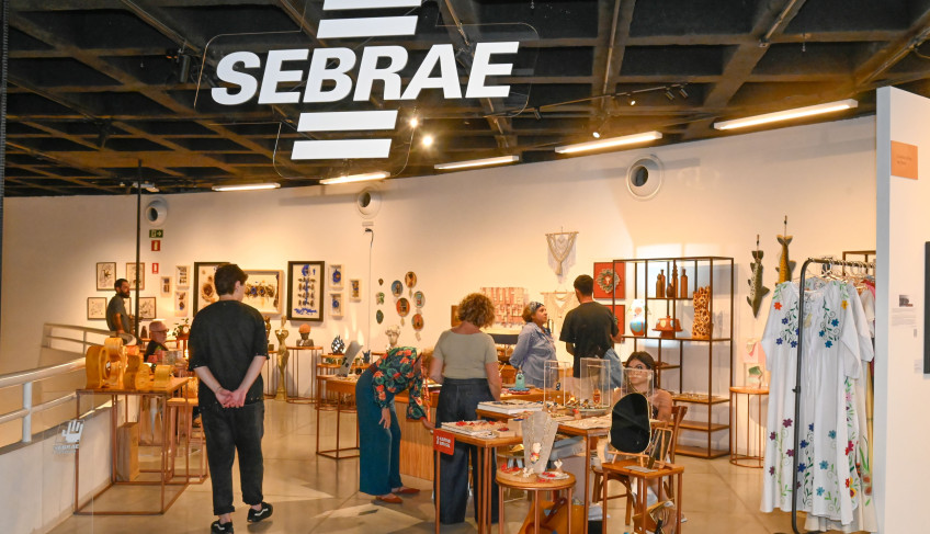 ASN Goiás - Agência Sebrae de Notícias