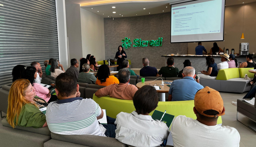 ASN Goiás - Agência Sebrae de Notícias