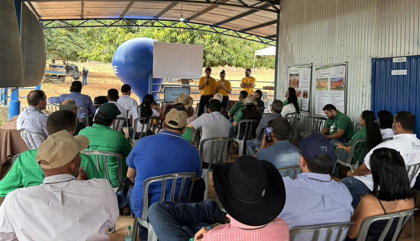 ASN Goiás - Agência Sebrae de Notícias