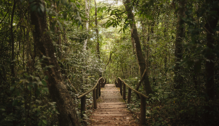 ASN Goiás - Agência Sebrae de Notícias